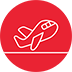 flight